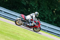 PJ-Motorsport-Photography-2020;anglesey;brands-hatch;cadwell-park;croft;donington-park;enduro-digital-images;event-digital-images;eventdigitalimages;mallory;no-limits;oulton-park;peter-wileman-photography;racing-digital-images;silverstone;snetterton;trackday-digital-images;trackday-photos;vmcc-banbury-run;welsh-2-day-enduro
